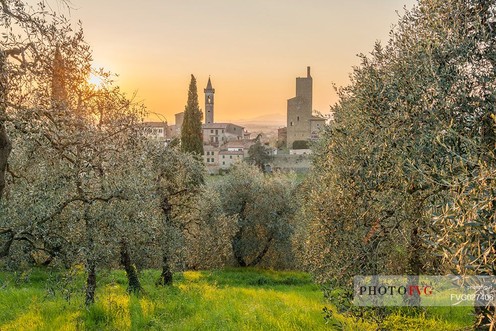 View of VInci, the birthplace of Leonardo da Vinci, Tuscany, Italy