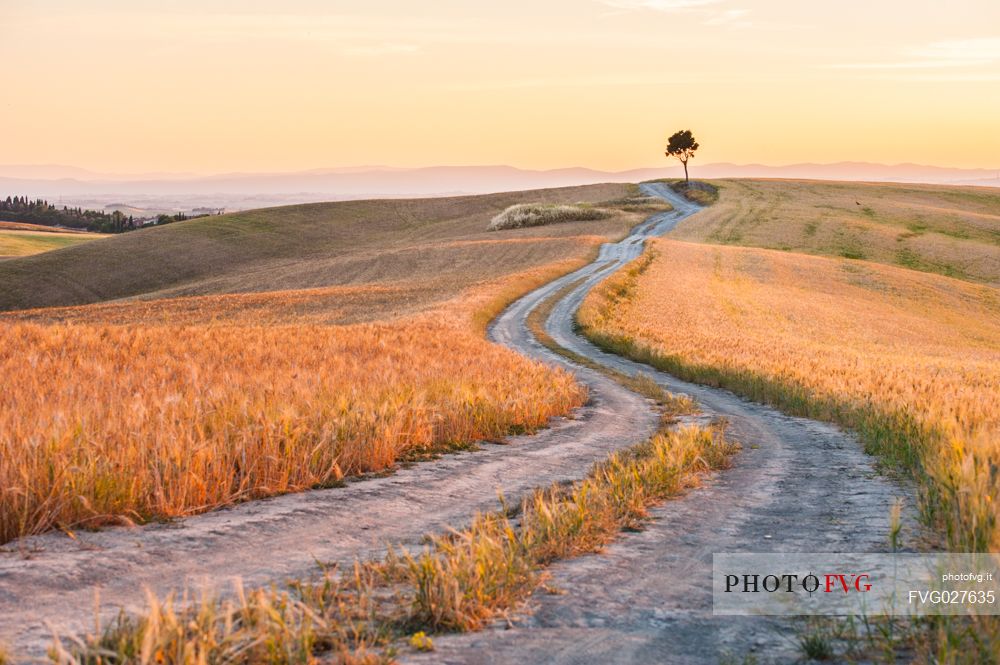 Crete Senesi landscapes, Orcia valley, Tuscany, Italy