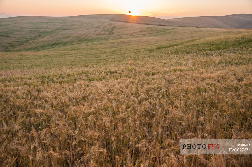 Sunrise in the Crete Senesi landscape, Orcia valley, Tuscany, Italy