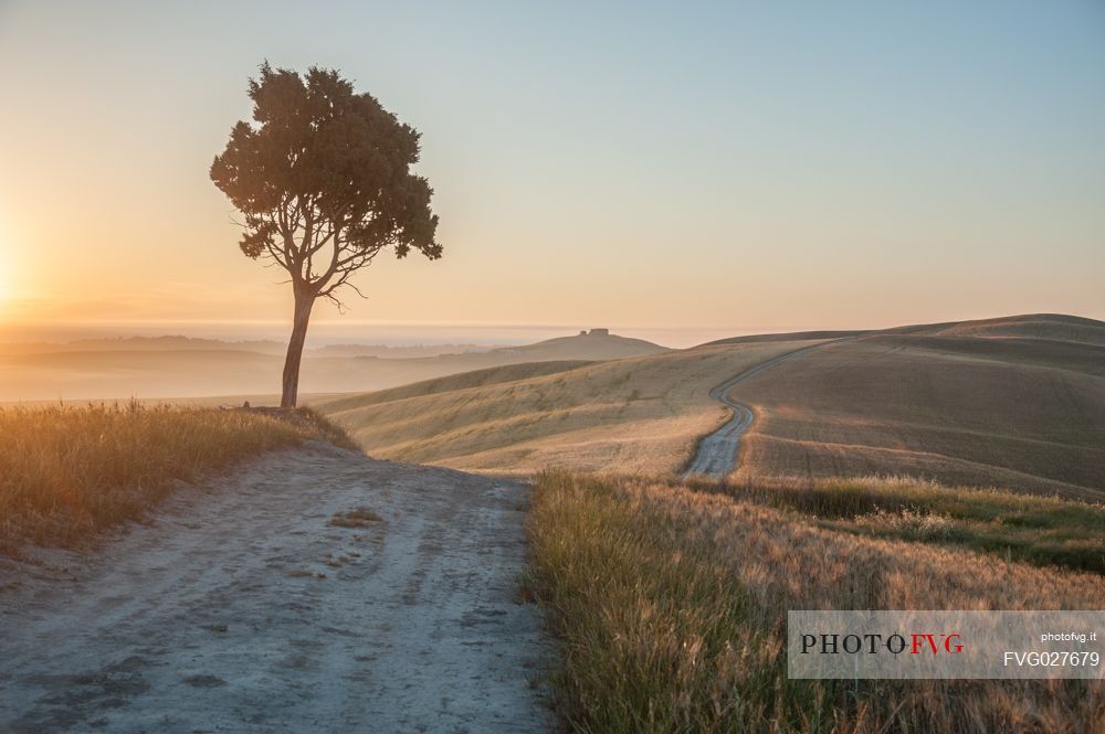 Crete Senesi landscapes, Orcia valley, Tuscany, Italy