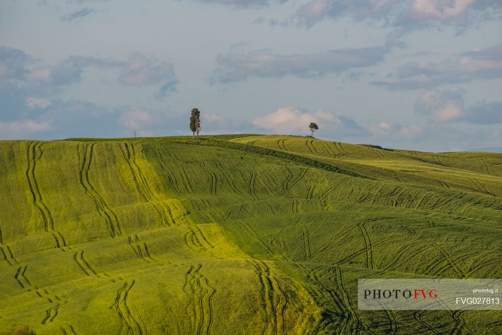 Crete Senesi landscapes, Asciano, Orcia valley, Tuscany, Italy