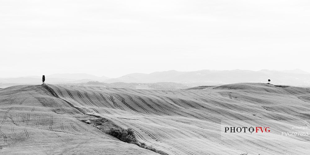 Crete Senesi landscapes, Asciano, Orcia valley, Tuscany, Italy