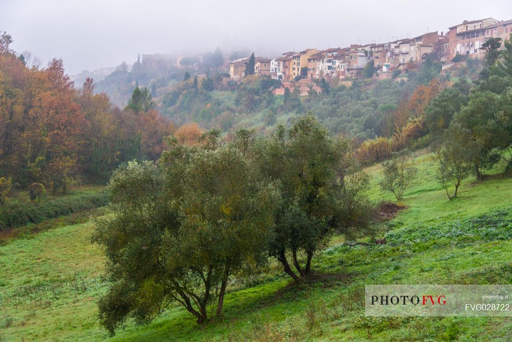 Foggy autumn on the hills of San Miniato, Tuscany, Italy