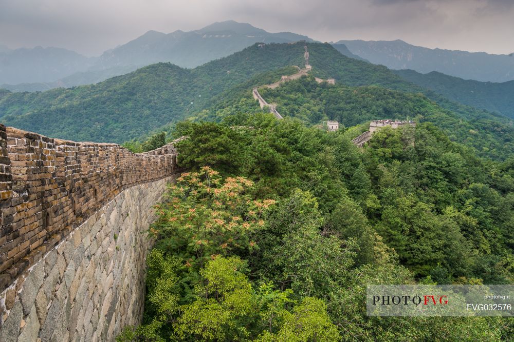 Great wall in the  Mutianyu village section, Beijing, China