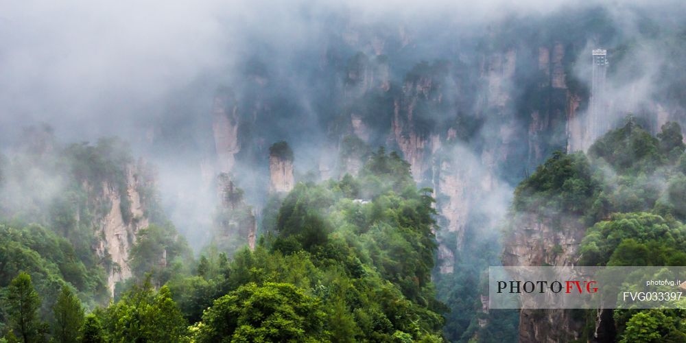 Hallelujah mountains or Avatar mountains ant the Bailong Elevator in the fog, Zhangjiajie National Forest Park, Hunan, China