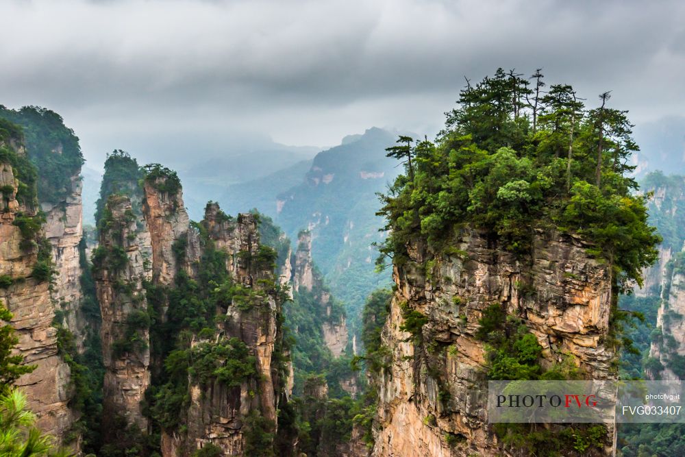 Hallelujah mountains or Avatar mountains in the Zhangjiajie National Forest Park, Hunan, China