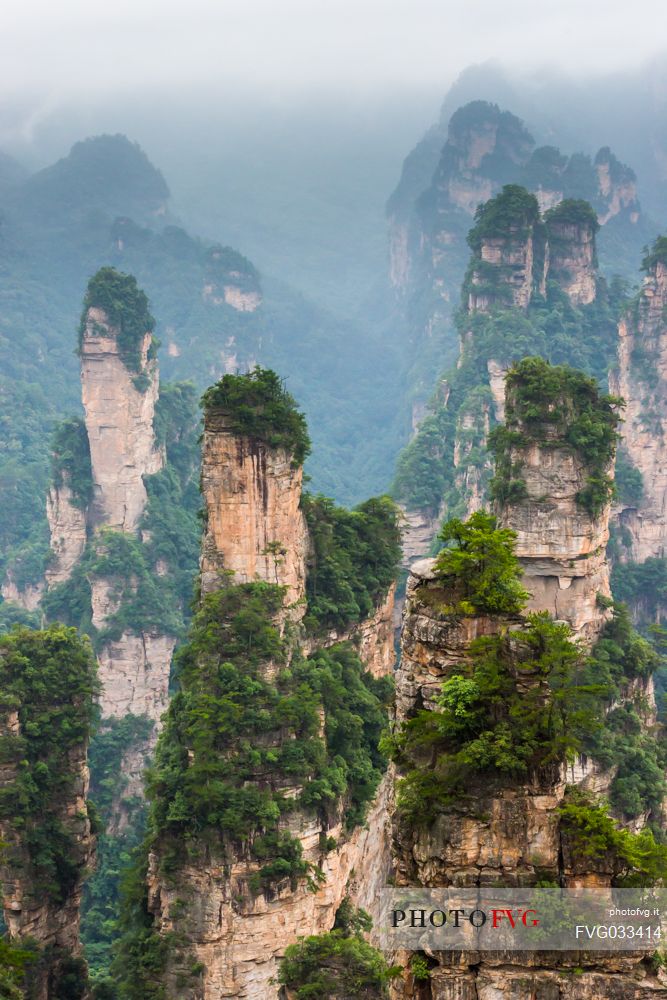 Hallelujah mountains or Avatar mountains in the Zhangjiajie National Forest Park, Hunan, China