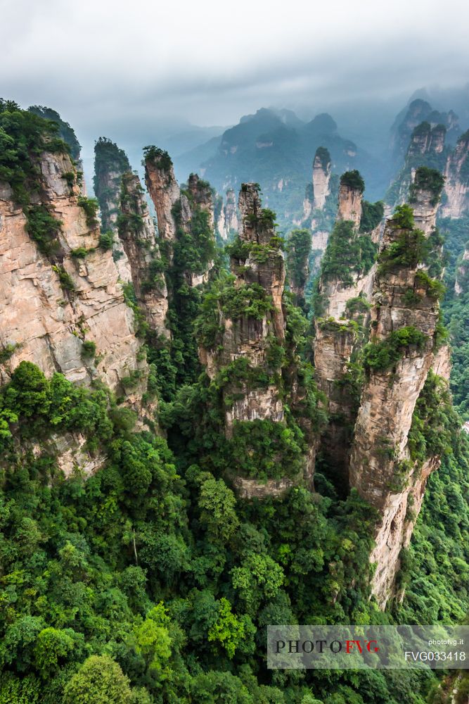 Hallelujah mountains or Avatar mountains in the Zhangjiajie National Forest Park, Hunan, China