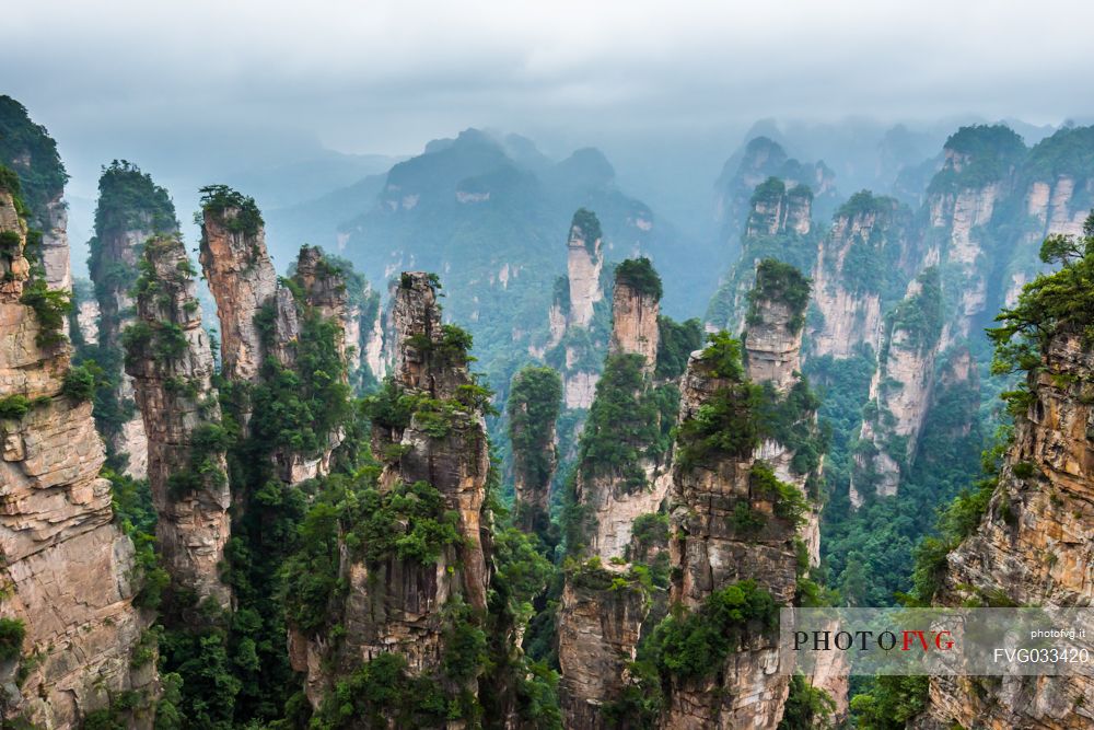 Hallelujah mountains or Avatar mountains in the Zhangjiajie National Forest Park, Hunan, China