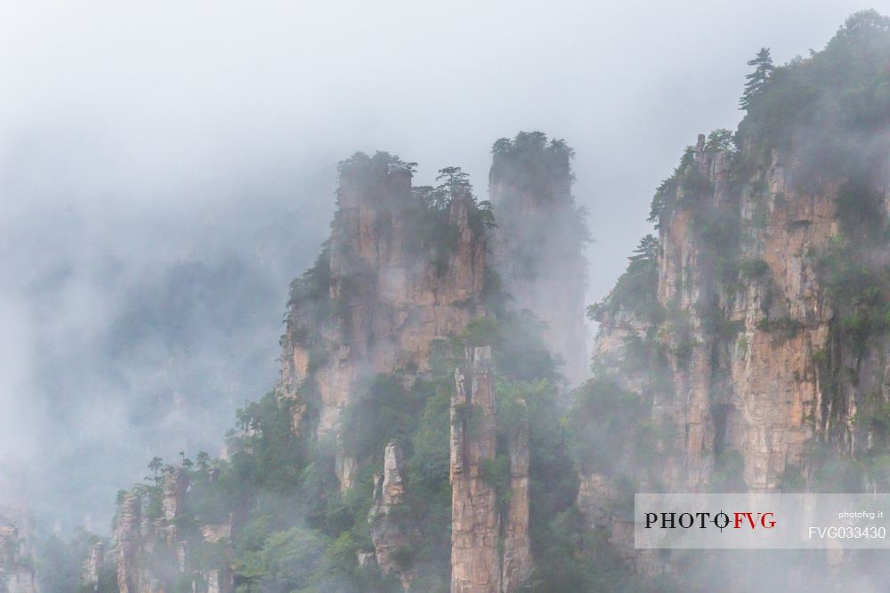 Detail of Hallelujah mountains or Avatar mountains in the Zhangjiajie National Forest Park, Hunan, China