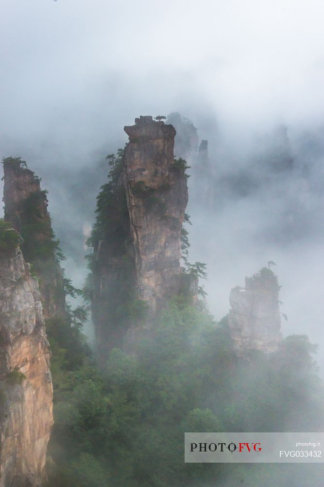 Detail of Hallelujah mountains or Avatar mountains in the Zhangjiajie National Forest Park, Hunan, China