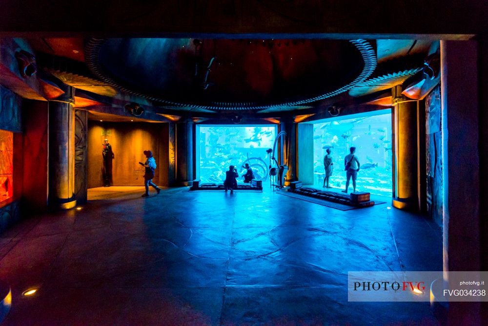 Visitors watching the aquarium in the Atlantis Hotel on the Jumeirah Palm island, Dubai city, United Arab Emirates, Asia