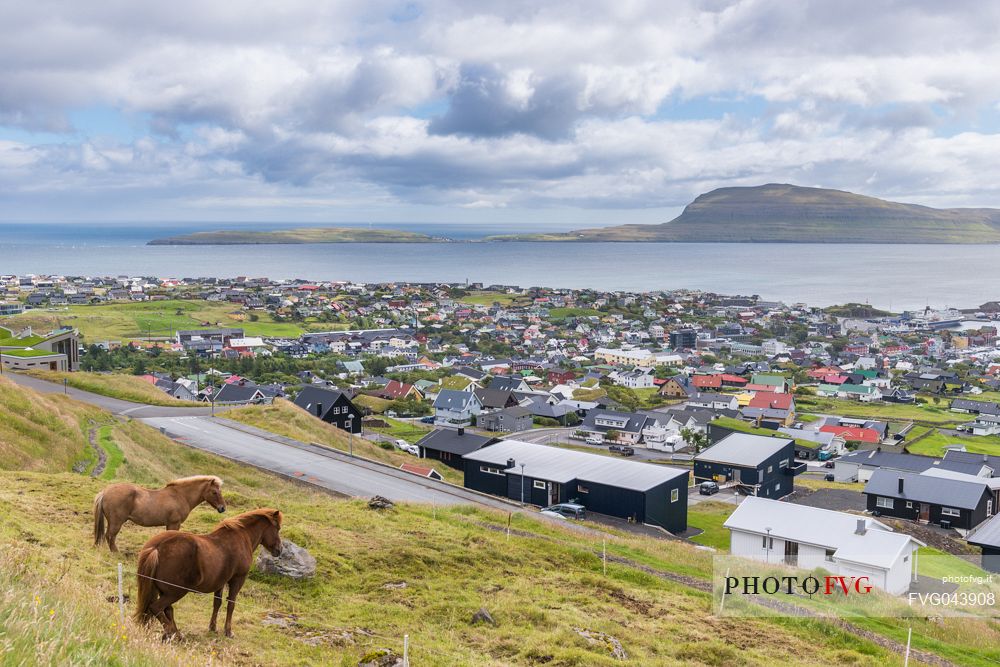 View of Torshavn city, the capital of Faeroe islands in the Streymoy island, Denmark, Europe