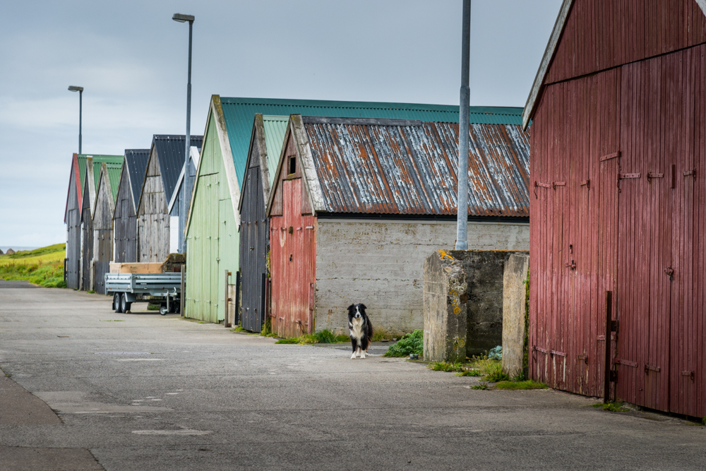 Vintage house in Fmjin village, Suouroy island, Faeroe Islands, Denmark, Europe