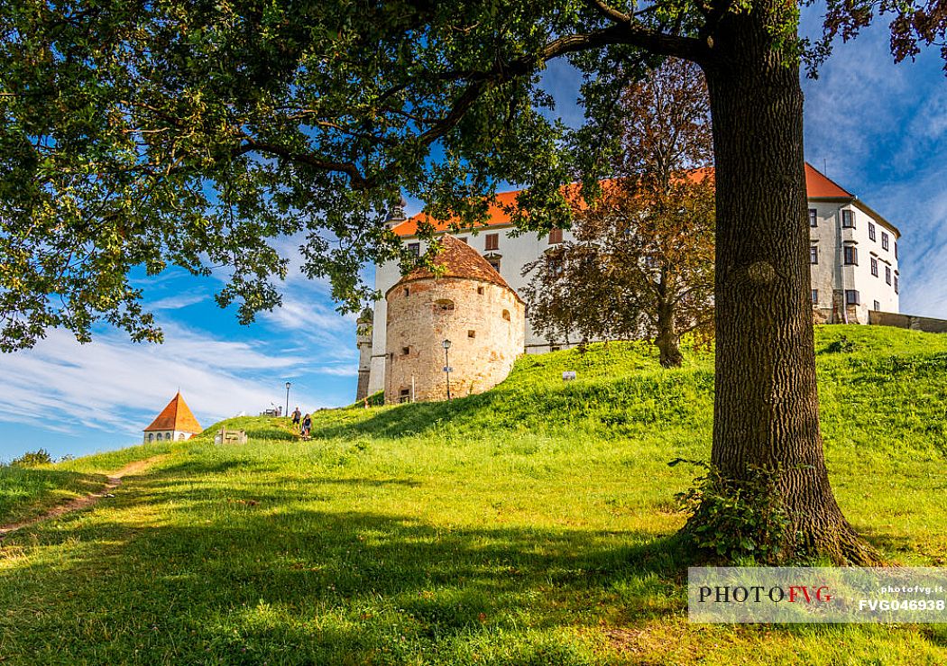 Ptuj Castle, Ptuj, Slovenia, Europe