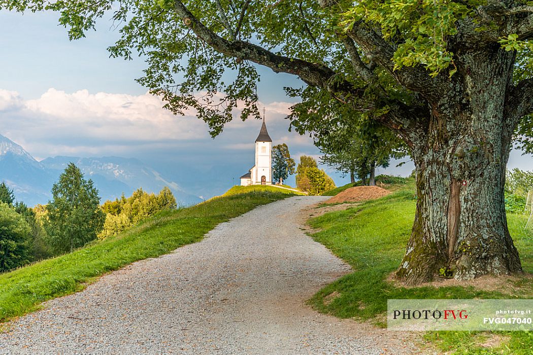 Saints Primus and Felician Church near Jamnik and Kroper with Storzic mountain in the background, Kranj, Upper Carniola, Slovenia, Europe