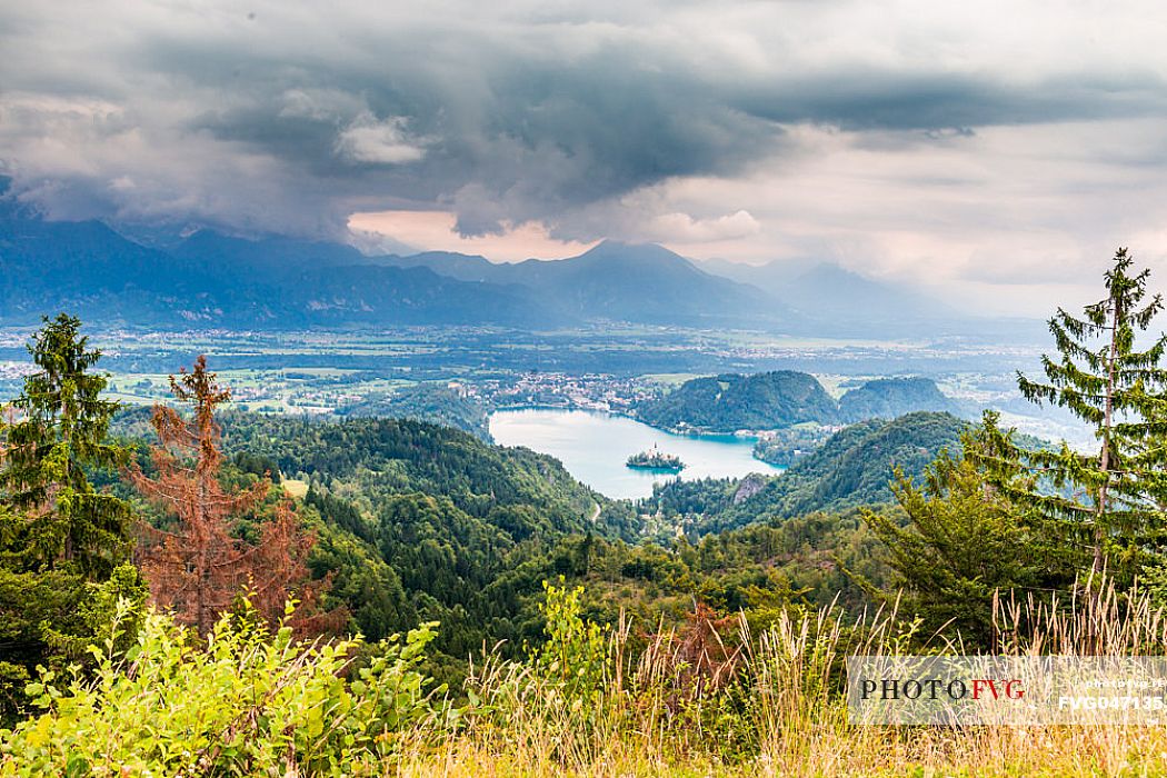 Lake of Bled, the town and the Julian alps from above, Julian Alps, Slovenia, Europe