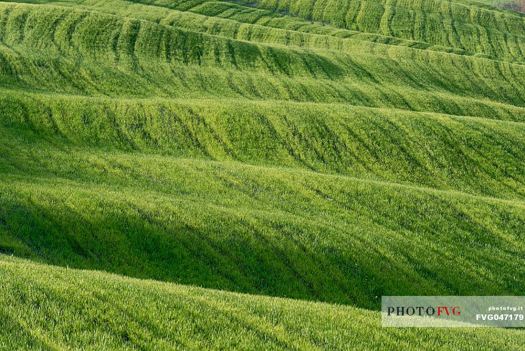 Typical Tuscan rolling landscape near Volterra, Tuscany, Italy, Europe