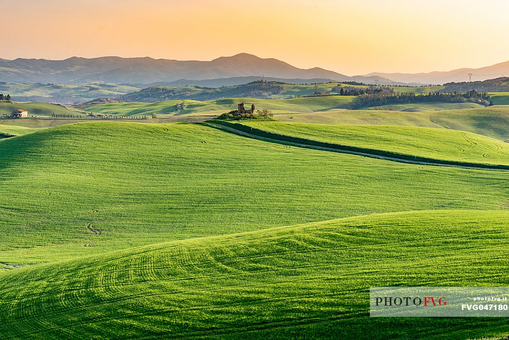 Typical Tuscan landscape near Volterra, Tuscany, Italy, Europe