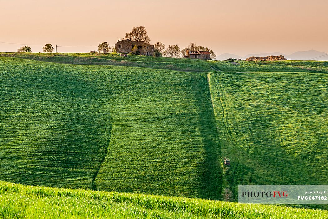 Typical Tuscan landscape near Volterra, Tuscany, Italy, Europe