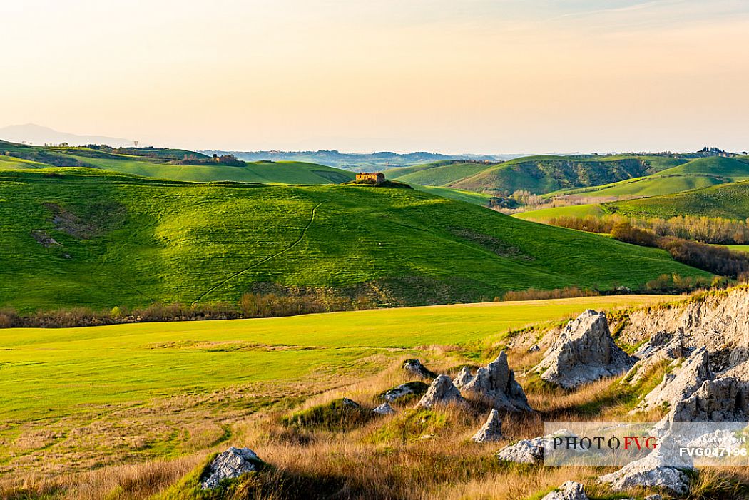 Typical Tuscan landscape near Volterra, Tuscany, Italy, Europe