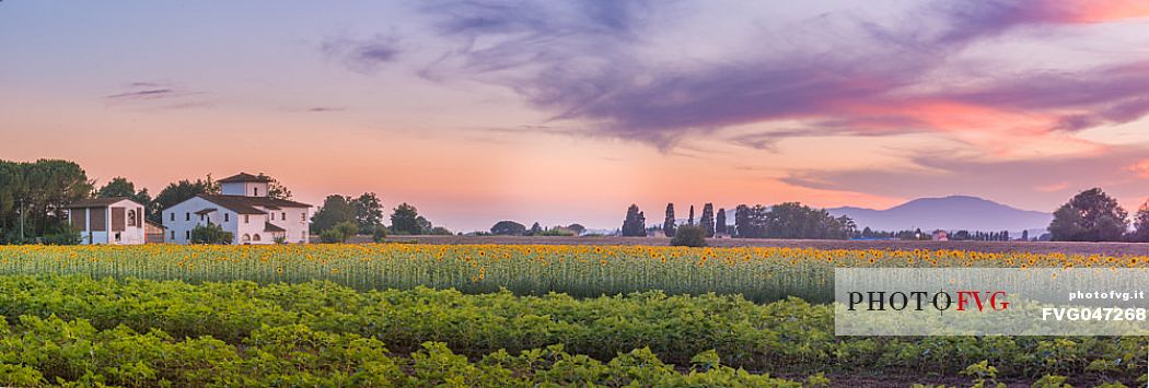 Typical Tuscan landscape near Volterra, Tuscany, Italy, Europe