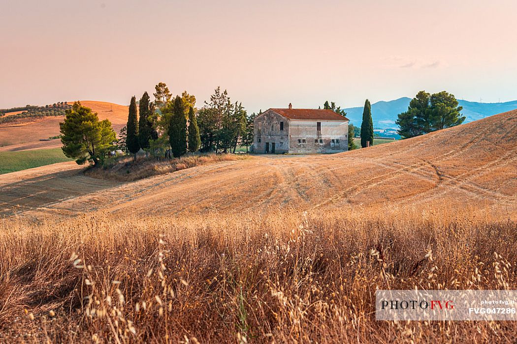 Summer typical Tuscan landscape near Volterra, Tuscany, Italy, Europe