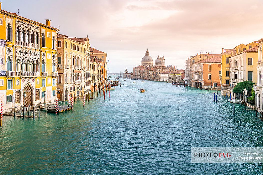 Palazzo Cavalli Franchetti in the Grand Canal and in the background the Santa Maria della Salute church from Accademia bridge, Venice, Italy, Europe