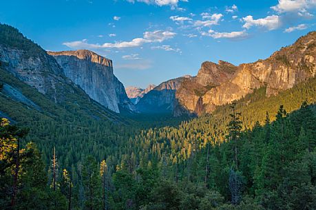 Yosemite National Park Valley from Tunnel View