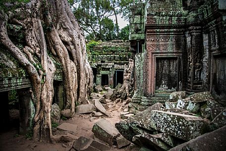 Ta Prohm temple