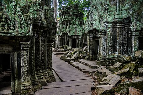 Ta Prohm temple