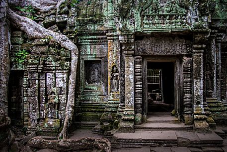 Ta Prohm temple