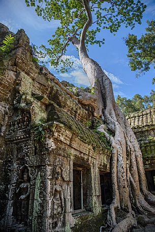 Ta Prohm temple