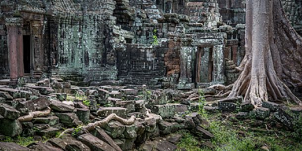 Ta Prohm  temple