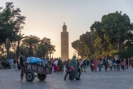 Koutoubia mosque views from the gardens at sunset, Marrakech, Marocco