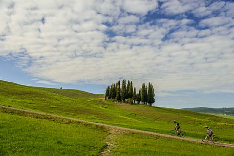 Cyclists in the typical tuscan landscape, Orcia valley, Italy Cyclists in the typical tuscan landscape, Orcia valley, Italy