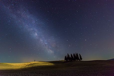 Milky way on cypress of San Quirico d'Orcia, Tuscany, Italy Milky way on cypress of San Quirico d'Orcia, Tuscany, Italy