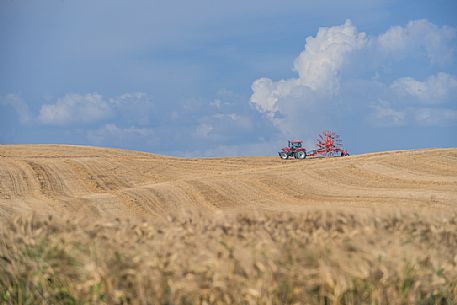 Country work in Orcia valley, Tuscany, Italy