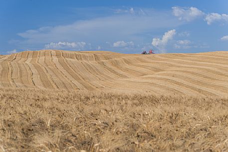 Country work in Orcia valley, Tuscany, Italy