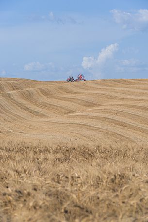 Country work in Orcia valley, Tuscany, Italy