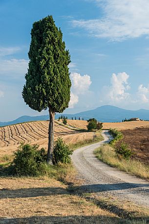 Country street in Orcia valley, Tuscany, Italy