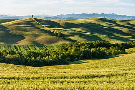 Crete Senesi landscapes, Asciano, Orcia valley, Tuscany, Italy Crete Senesi landscapes, Asciano, Orcia valley, Tuscany, Italy