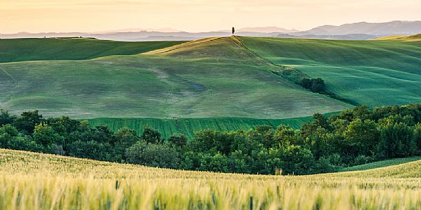 Crete Senesi landscapes, Asciano, Orcia valley, Tuscany, Italy