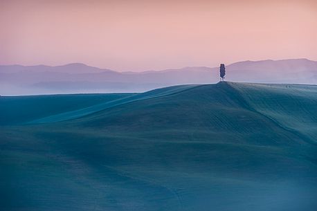 Crete Senesi landscapes at the twilight, Orcia valley, Tuscany, Italy