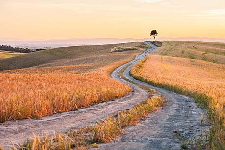 Crete Senesi landscapes, Orcia valley, Tuscany, Italy