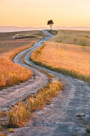 Crete Senesi landscapes, Orcia valley, Tuscany, Italy