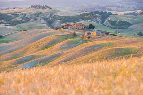 Farm in the Crete Senesi landscape, Orcia valley, Tuscany, Italy