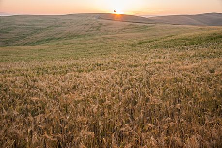 Sunrise in the Crete Senesi landscape, Orcia valley, Tuscany, Italy Sunrise in the Crete Senesi landscape, Orcia valley, Tuscany, Italy