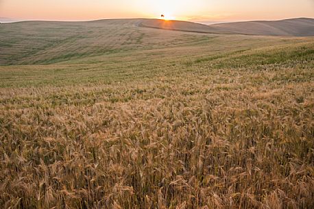 Sunrise in the Crete Senesi landscape, Orcia valley, Tuscany, Italy