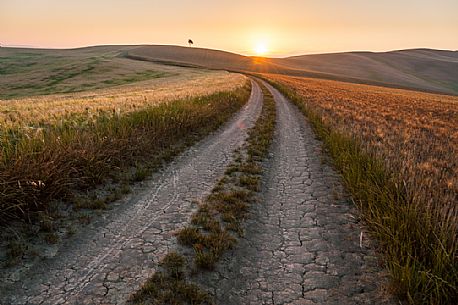 Sunrise in the Crete Senesi landscape, Orcia valley, Tuscany, Italy Sunrise in the Crete Senesi landscape, Orcia valley, Tuscany, Italy